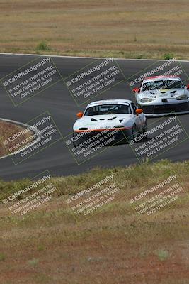 media/May-04-2024-Lucky Dog Racing (Sat) [[d39539b3f3]]/Race Pics/1015am (Turn 2)/